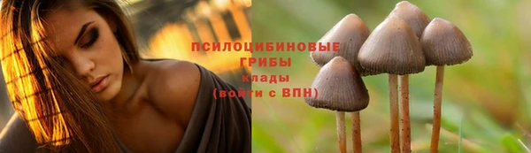 первитин Бородино