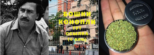 соль ск Бронницы