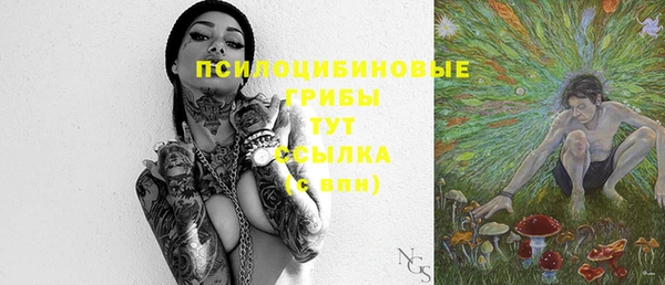 соль ск Бронницы