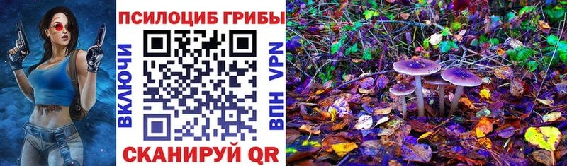Псилоцибиновые грибы мухоморы  Купить закладки  Усолье 